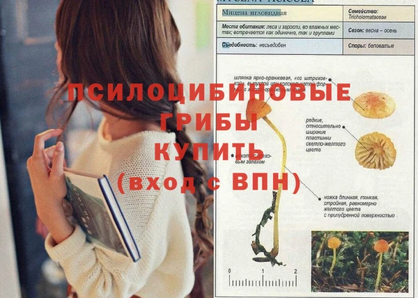 таблы Лагань