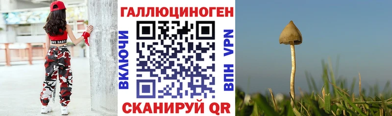 Галлюциногенные грибы Cubensis  Таштагол 
